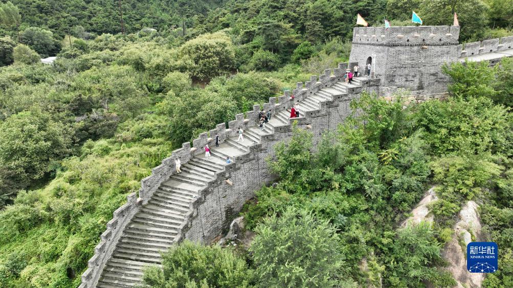 神人捕鱼官方下载